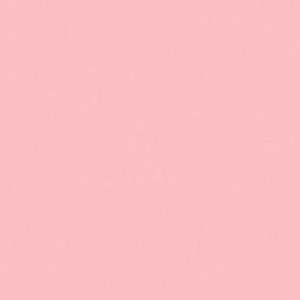 Meet your Posher, Abigail